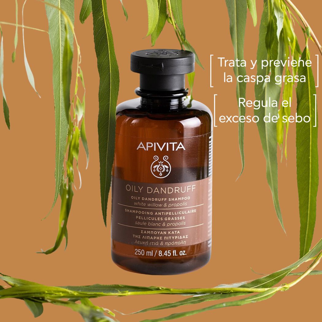 Shampoo Apivita Sauce y Propoleo 250 mL, , large image number 1