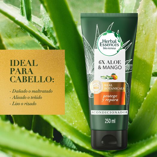 Acondicionador Bio:Renew 6x Aloe & Mango Protege & Repara 250 Ml, , large image number 2