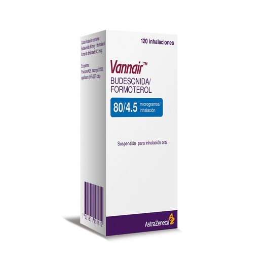 Vannair PMDI 80/4,5 mcg x 120 Dosis Suspensión para Inhalación Oral, , large image number 0