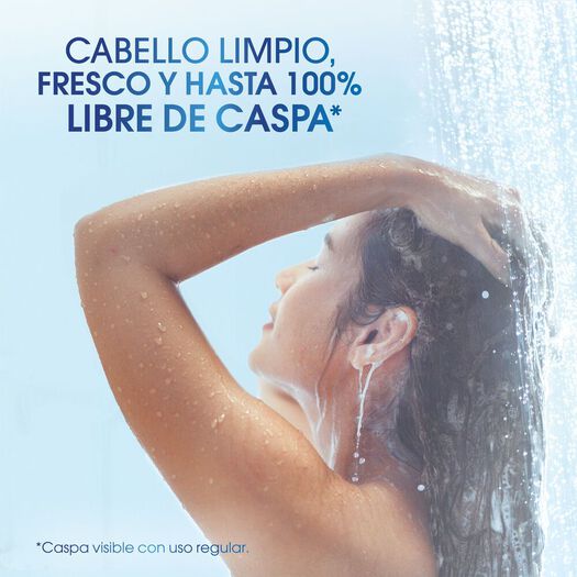 Head & Shoulders Pack Shampoo Charcoal Purificación Capilar 375 mL x 1 Pack, , large image number 2