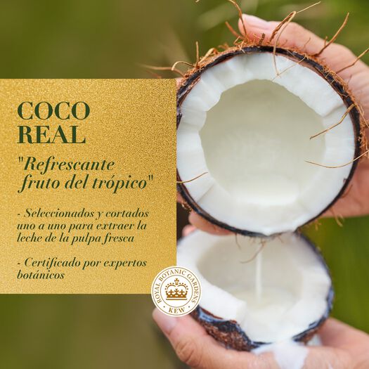 Crema De Tratamiento Herbal Essence Coco 300 Ml, , large image number 3