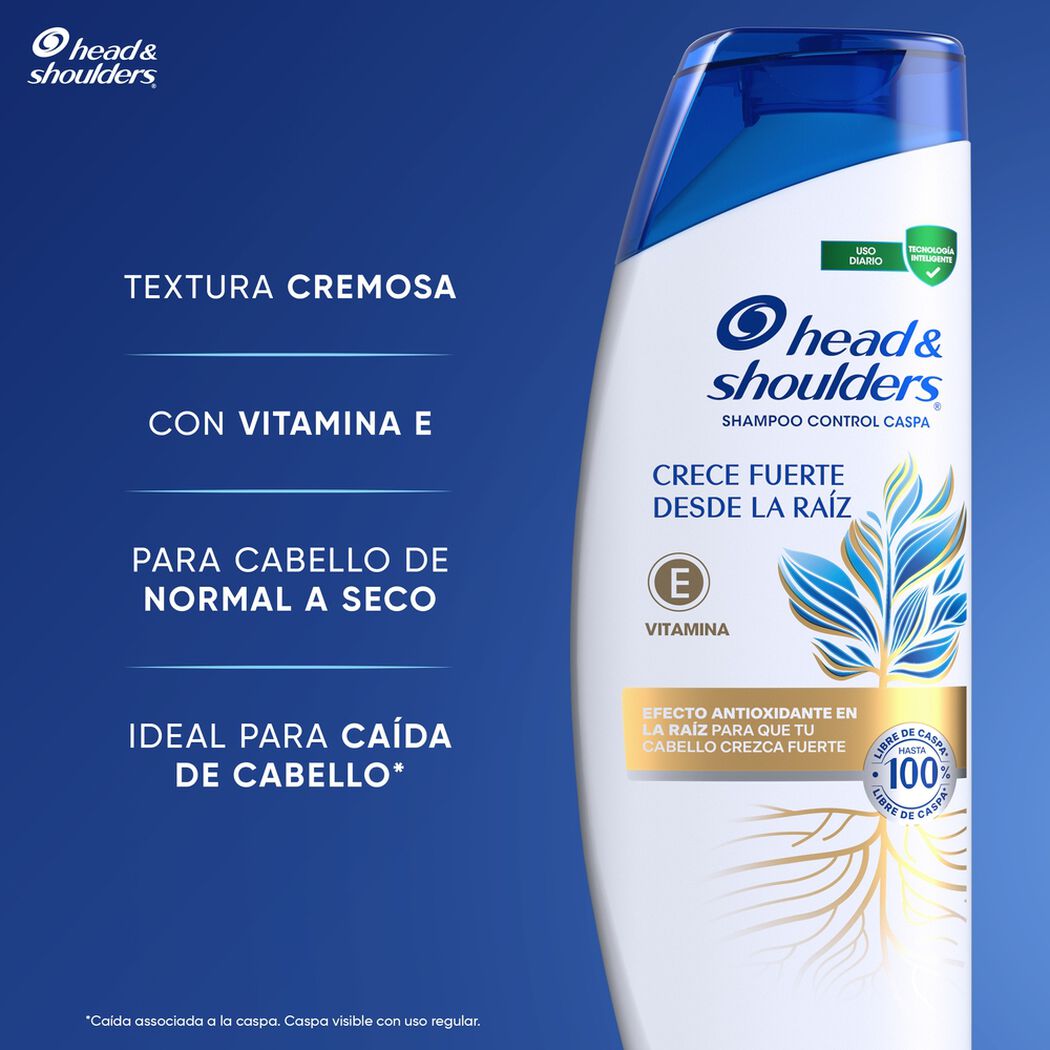 Shampoo Head & Shoulders Fuerza De Raiz 375ml, , large image number 4