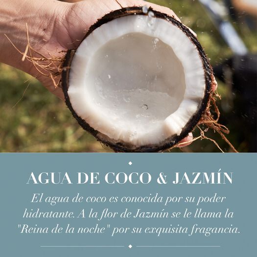 Pack Herbal Coconutwater Shampoo 400Ml + Acondicionador 400Ml, , large image number 4