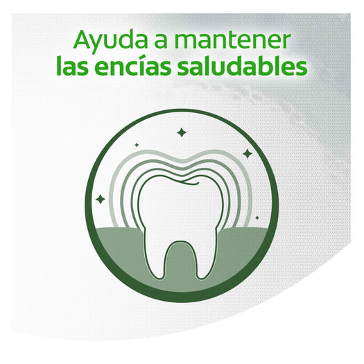Hilo Dental Natural Carbón 25 M, , large image number 4