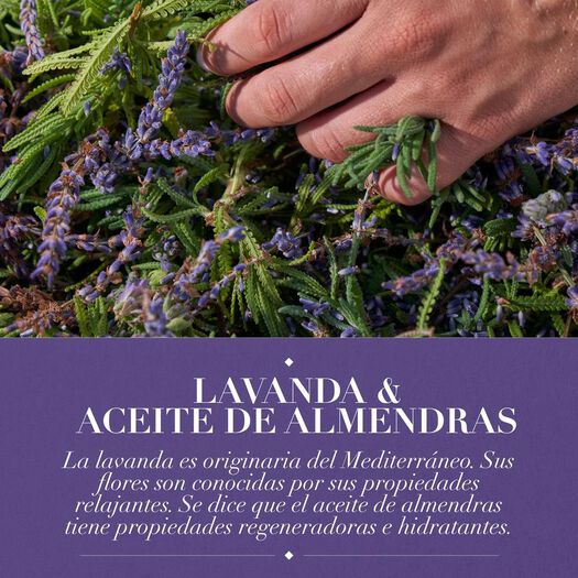 Shampoo Herbal Essences Lavanda 400Ml, , large image number 3