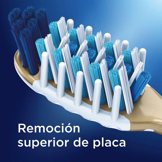 Oral B Cepillo Dental Pro Salud x 2 Unidades, , large image number 1