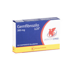 Gemfibrozilo 300 mg x 30 Comprimidos Recubiertos CHILE