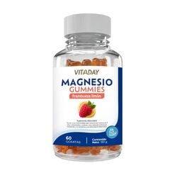 Vitaday gomitas Magnesio sabor Frambuesa Lim&oacute;n x 60 unidades
