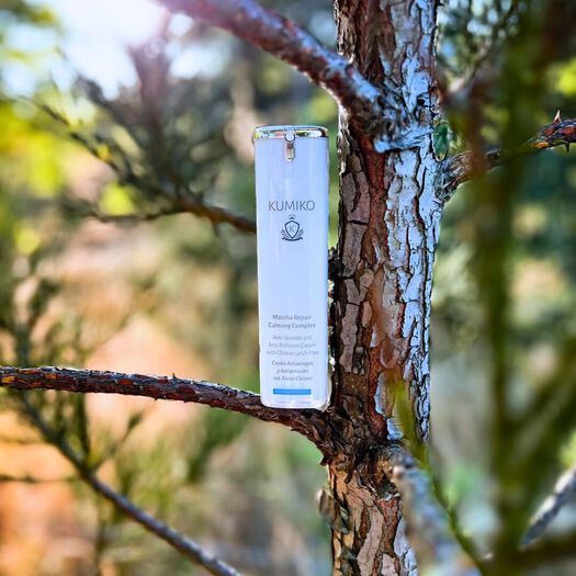 Crema Antiarrugas Con Alerce Chileno 50M, , large image number 3