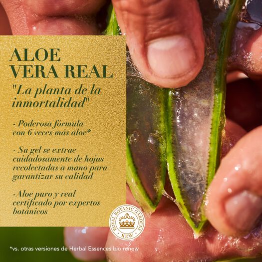 Acondicionador Bio:Renew 6x Aloe & Mango Protege & Repara 250 Ml, , large image number 3