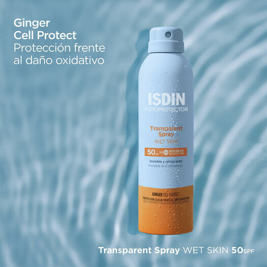 PROT SOL ISDIN WET SKIN ADULTO 250ML, , large image number 3