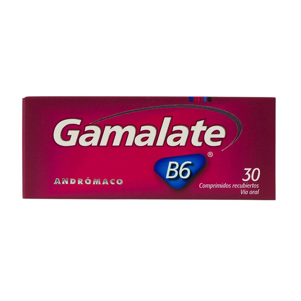 Gamalate B6 x 30 Comprimidos Recubiertos, , large image number 0