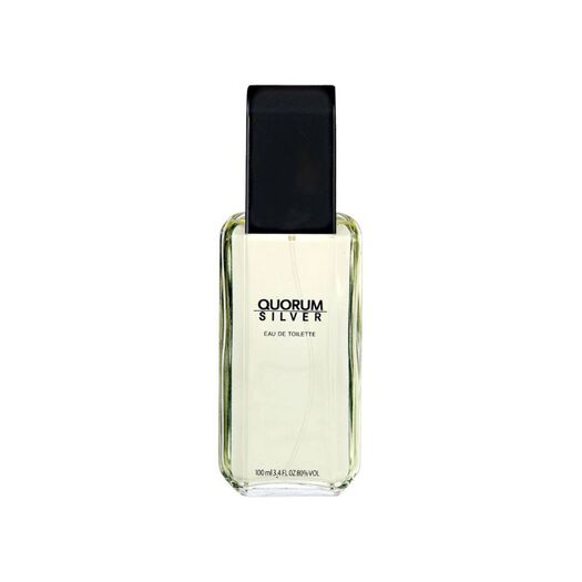 Quorum Quorum Silver EDT 100 ml - Perfume Hombre, , large image number 0