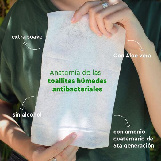 Toalla Antibacterial Care Up 50 Un, , large image number 1