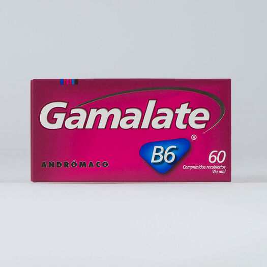 Gamalate B6 x 60 Comprimidos Recubiertos, , large image number 0