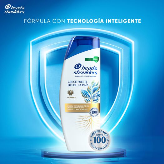 Shampoo Head & Shoulders Fuerza De Raiz 375ml, , large image number 1