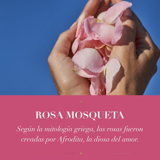 Acondicionador Herbal Essences Rosa Mosqueta 865 mL, , large image number 3