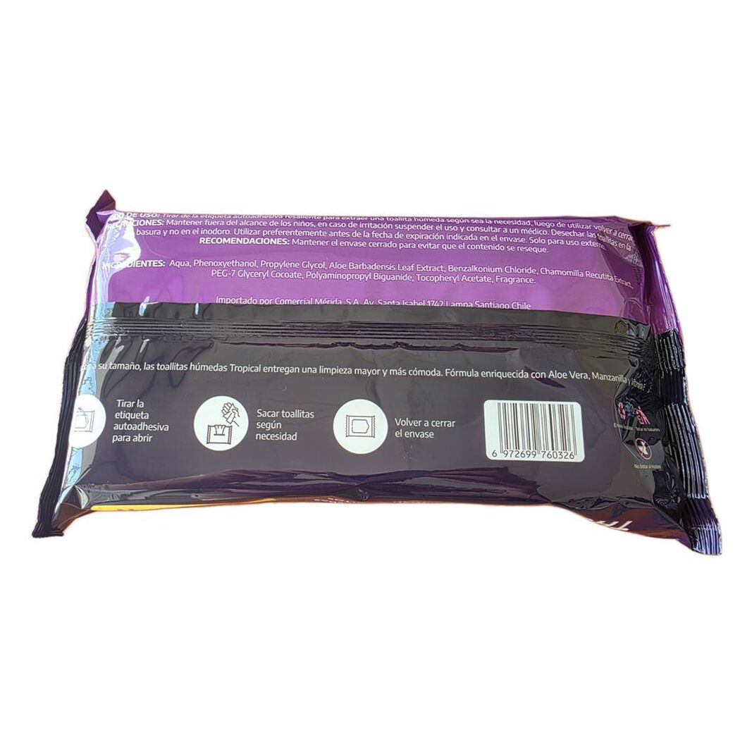 Toalla H&uacute;meda Adulto 60 unidades, , large image number 0