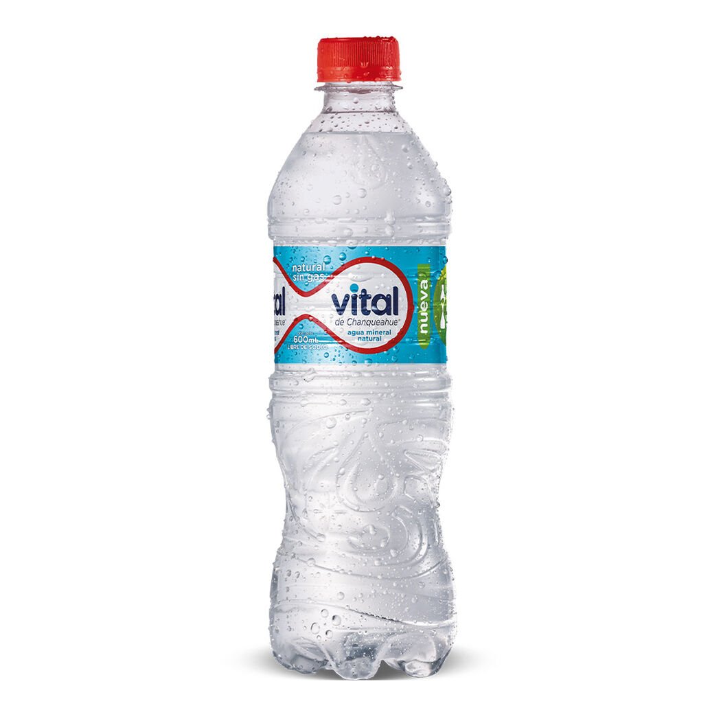 Agua Mineral Vital Sin Gas 600 cc, , large image number 0