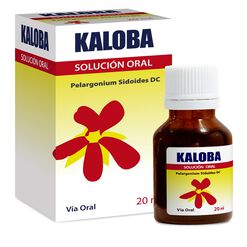Kaloba 0,8 g/mL x 20 mL Solución Oral para Gotas