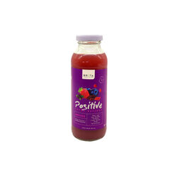 Superbatido Positive Antiox X 300 Ml