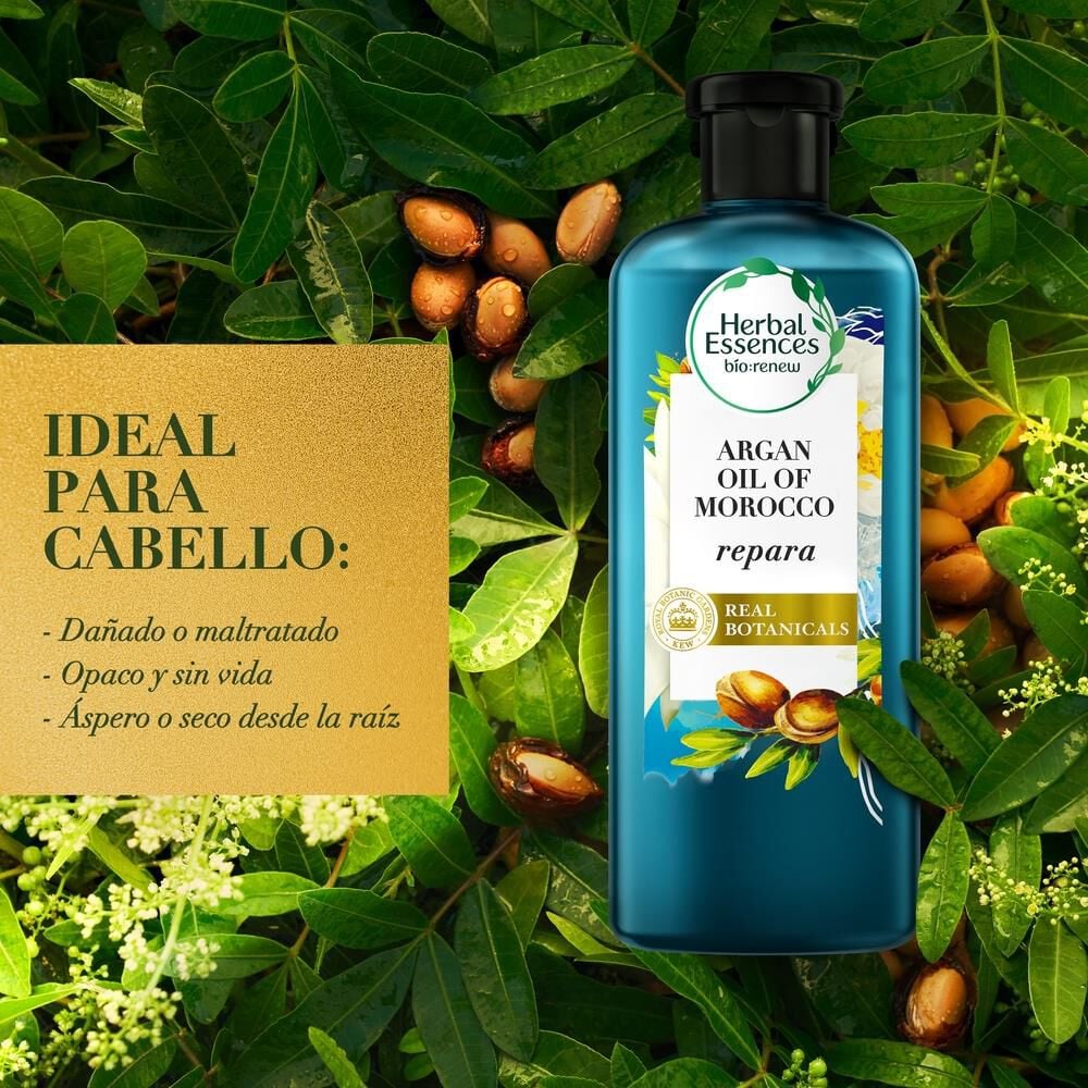 Pack Shampoo Herbal Essen + Acon.Bio Renew 2u
