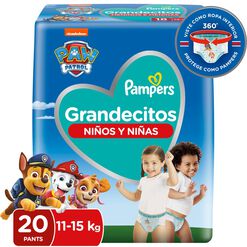 Pañales Pampers Pants Easy Up Xgd 20un