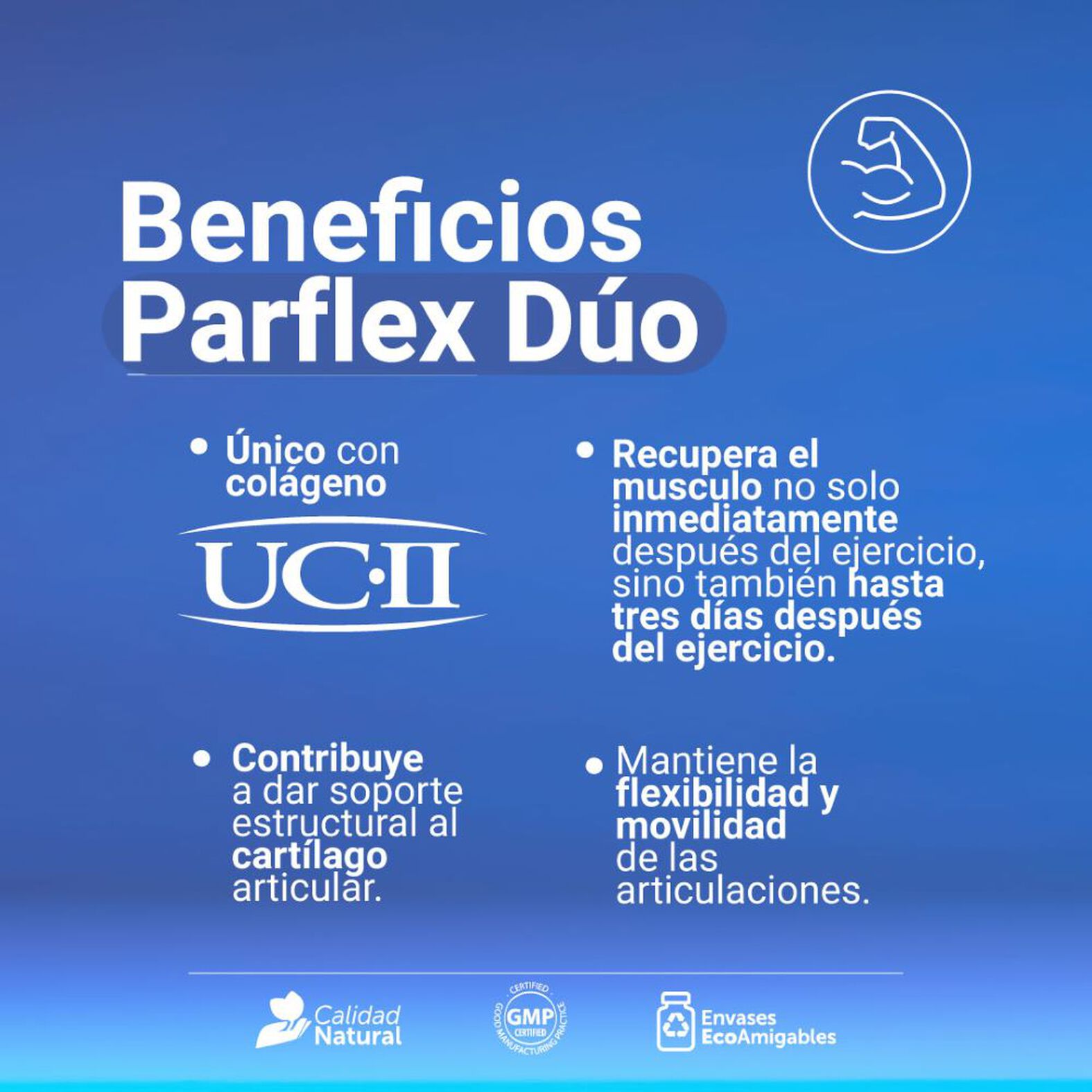 Parflex Duo 60 Capsulas Farmacias Ahumada