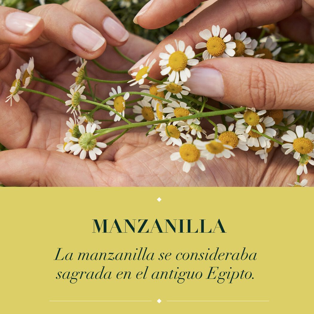 Acondicionador Herbal Essences Brillo Manzanilla y Pasiflora 400 mL, , large image number 4
