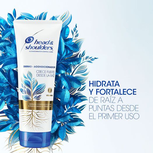 Acondicionador Head & Shoulders Fuerza de Raiz 300 ml, , large image number 1