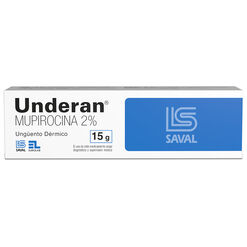 Underan 2 % x 15 g Ungüento Dérmico