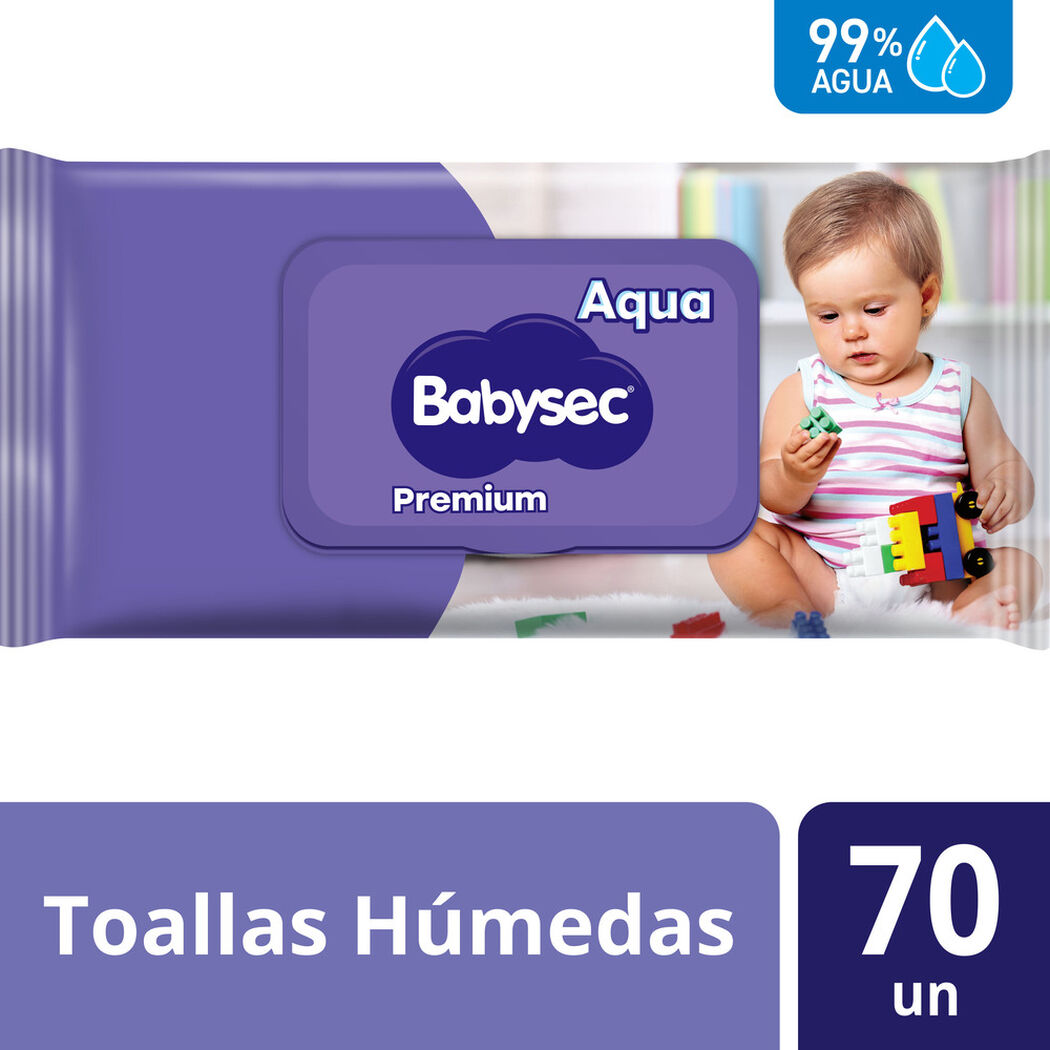 Toallas H&uacute;medas Babysec Premium 70 un, , large image number 0