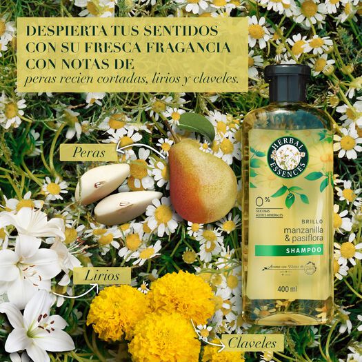 Herbal Essences Shampoo Shine-Brillance Chamomilla x 400 mL, , large image number 3