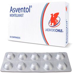 Asventol 5 mg x 30 Comprimidos Masticables
