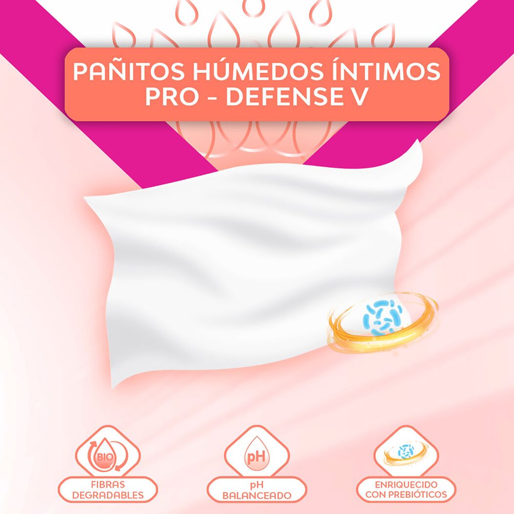 Pa&ntilde;itos Humedas Nosotras Prodefense 16Un, , large image number 2