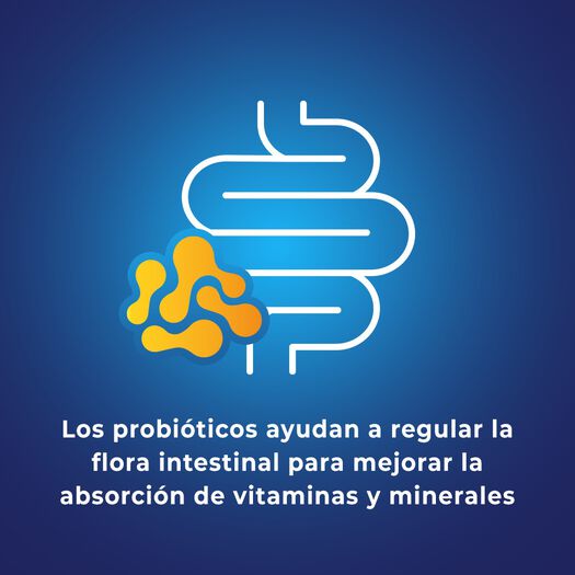 Bion3 Mini con Vitaminas, Minerales y Probióticos 30 Comprimido Masticable, , large image number 2