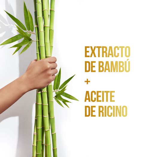 Acondicionador Pro-V Bambú Nutre & Crece 400 Ml, , large image number 2