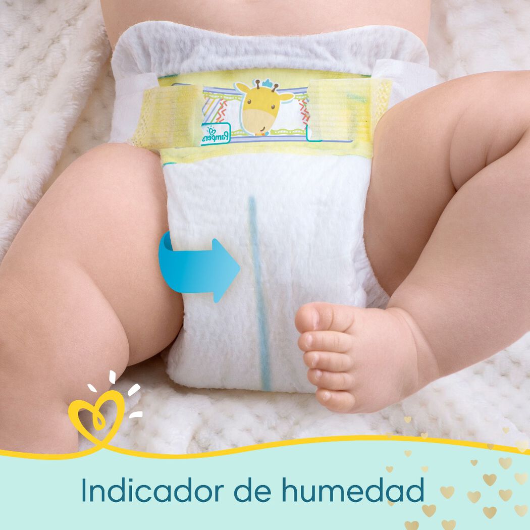 Pañales Pampers Premium Care Recien Nacido 36 un, , large image number 1