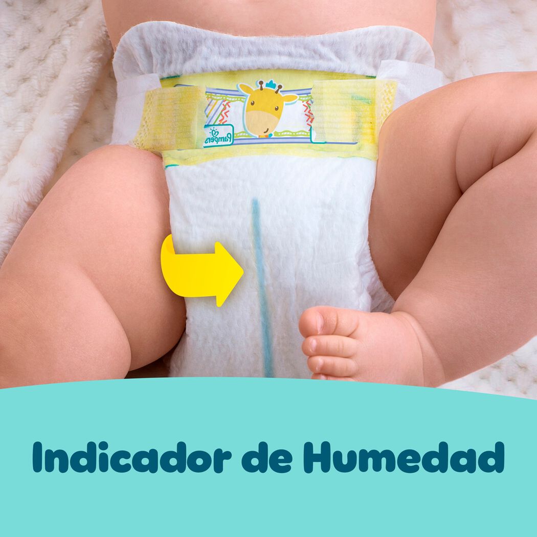 Pañales Pampers Premium Care Recien Nacido 36 un, , large image number 1
