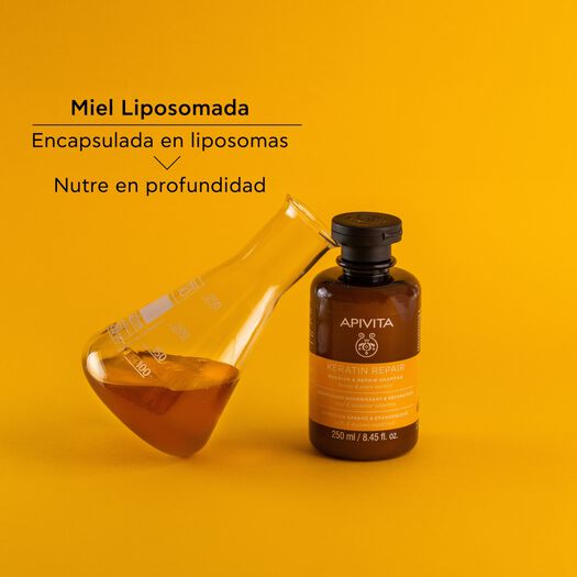 Shampoo Nutriente y Reparador 250 mL, , large image number 1