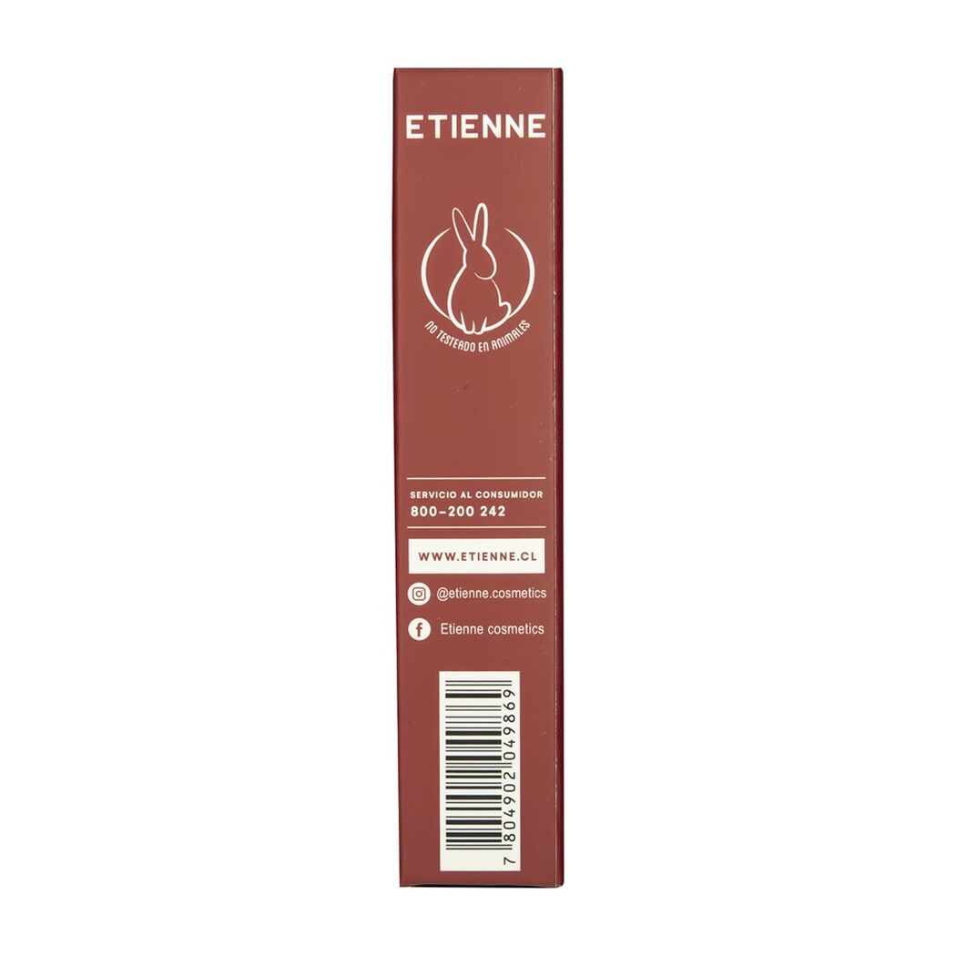 Labial L&iacute;quido Matte Total N22 Etienne, , large image number 4