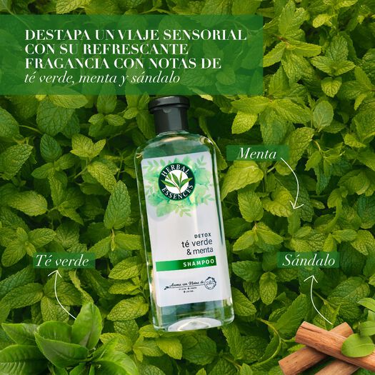 Shampoo Herbal Essences Detox Té verde & menta 400 ml, , large image number 4