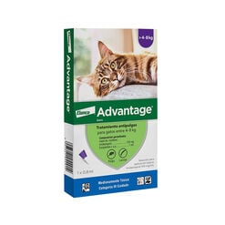 Advantage Gatos 4-8 Kg Pipeta 0.8Ml 1 Un